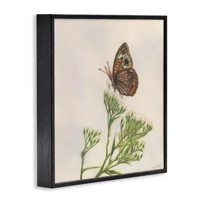 Stupell Industries Spring Offerings Butterfly Giclee Art By Connie Resch In Midnight Black Framed Giclee