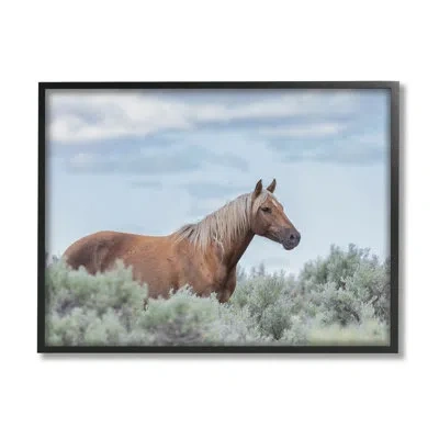 Stupell Industries Stallion Horse Among Bushes Clear Sky - Floater Frame Photograph On Wood In Midnight Black Framed Giclee