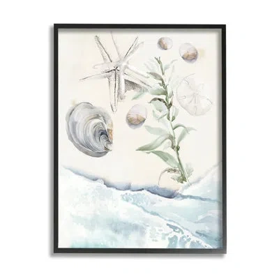 Stupell Industries Starfish And Shells Lapping Beach Shore By Jennifer Paxton Parker - Floater Frame Graphic Art On Woo In Midnight Black Framed Giclee