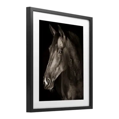 Stupell Industries Strong Stallion Horse Portrait Framed Print Under Glass, Design By Marcus Prime In Midnight Black Frame
