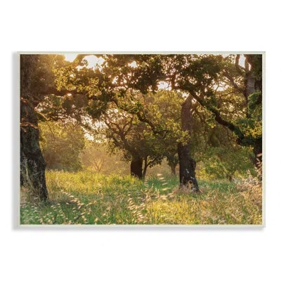 Stupell Industries Summer Sunlight Forest Trees Wild Tall Grass - Photograph In Wall Plaque