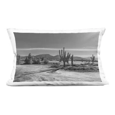 Stupell Industries Sunlit Cactus Valley Decorative Printed Throw Pillow Design By Norm Stelfox In Gray Cactus