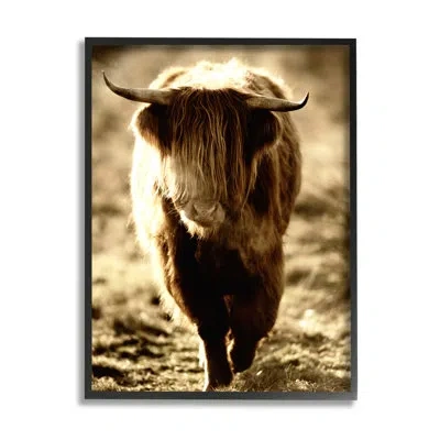 Stupell Industries Sunlit Highland Longhorn Cattle Wandering Rural Countryside By James Dobson - Floater Frame Photogra In Midnight Black Framed Giclee