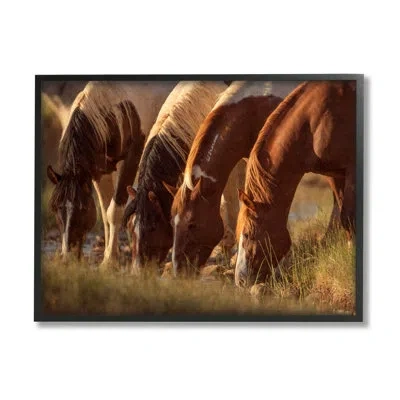 Stupell Industries Sunlit Horses Drinking Water Wildlife Nature Scene By Jan Walters - Floater Frame Photograph On Wood In Midnight Black Framed Giclee