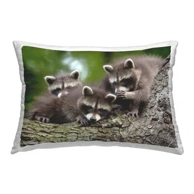 Stupell Industries Three Raccoon Cubs Decorative Printed Throw Pillow By Jan Piecha In Brown;green