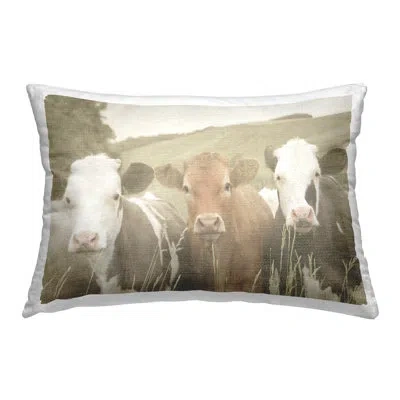 Stupell Industries Throw Pillow In Brown