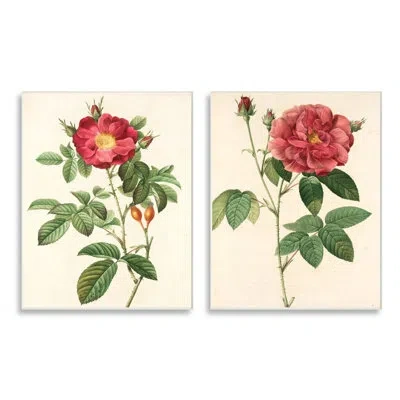 Stupell Industries Traditional Red Flowers With Floral Stem Details - 2 Piece Floater Frame Graphic Art Print Set On Ca In Wall Plaque