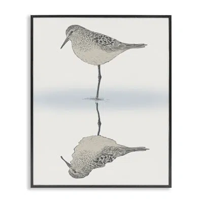 Stupell Industries Tranquil Sandpiper Bird Reflection Shallow Beach Shoreline By Ziwei Li - Floater Frame Graphic Art O In Midnight Black Framed Giclee