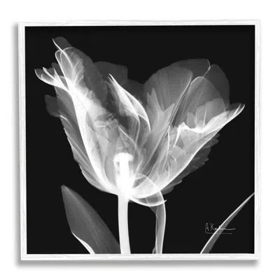 Stupell Industries Tulip Flower X-ray On Canvas Photograph In Black