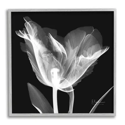 Stupell Industries Tulip Flower X-ray On Canvas Photograph In Farmhouse Gray Framed Giclee