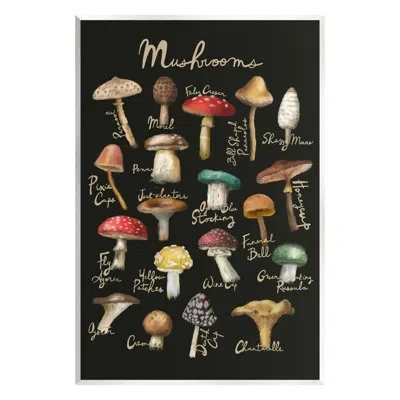 Stupell Industries Varied Mushrooms Kitchen Chart Framed Floater Canvas Wall Art By Amylee Weeks In Mdf