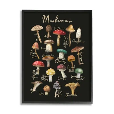 Stupell Industries Varied Mushrooms Kitchen Chart Framed On Wood By Amylee Weeks Graphic Art In Midnight Black Framed Giclee