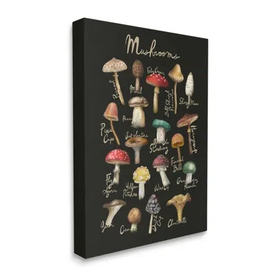 Stupell Industries Varied Mushrooms Kitchen Chart On Canvas Graphic Art In Brown;white