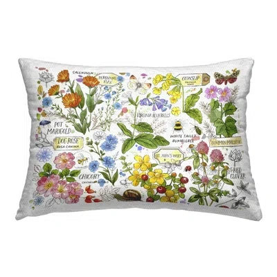 Stupell Industries Various Herbs Benefits Printed Outdoor Throw Pillow Design By Jane Maday In White