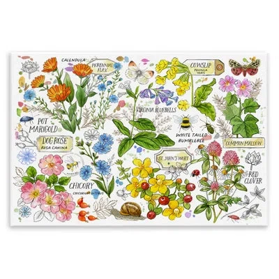 Stupell Industries Various Herbs Benefits Wall Plaque Art By Jane Maday In White