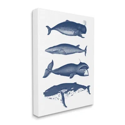 Stupell Industries Various Whales Types Sea Life Detailed Illustrations By Lettered And Lined - Floater Frame Graphic A In Blue