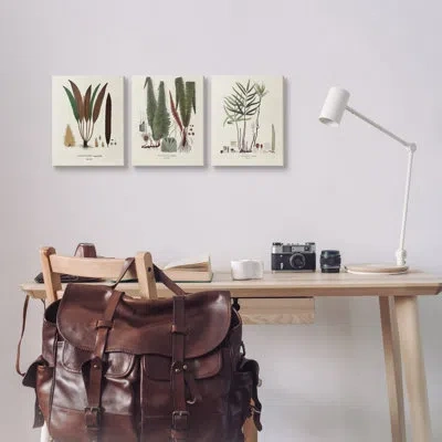 Stupell Industries Vintage Botanical Studies 3 Pieces By Vision Studio