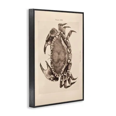 Stupell Industries Vintage Detail Crab Framed Giclee Art, Design By Deborah Revell In Midnight Black Framed Giclee