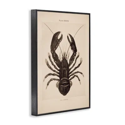 Stupell Industries Vintage Detail Lobster Framed Giclee Art, Design By Deborah Revell In Midnight Black Framed Giclee