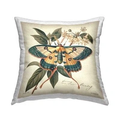 Stupell Industries Vintage Moth & Plant Study Outdoor Printed Pillow By Steve Huntziker In Beige