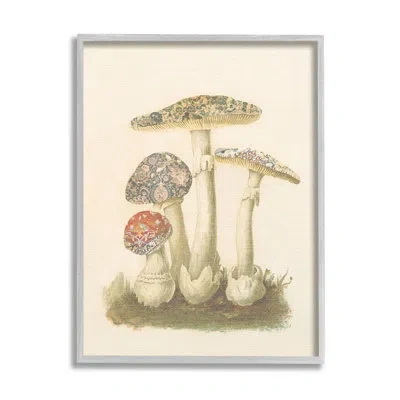 Stupell Industries Vintage Patterned Mushrooms By Lil' Rue Single Picture Frame Print On Canvas In Farmhouse Gray Framed Giclee