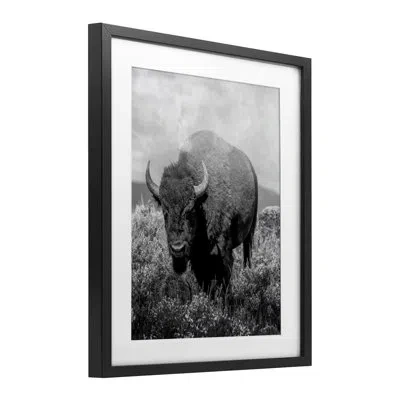 Stupell Industries Wandering Bison Monochrome Portrait Framed Print Under Glass, Design By Marcus Prime In Midnight Black Frame