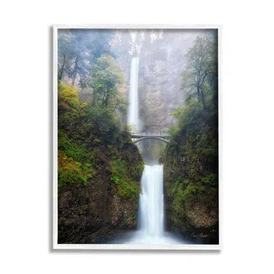 Stupell Industries Waterfall Bridge Photography On Wood By David Drost Photograph In Coastal White Framed Giclee