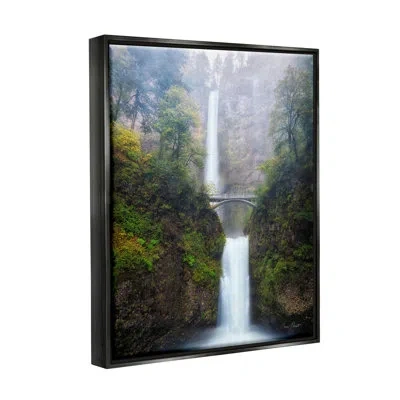 Stupell Industries Waterfall Bridge Photography On Wood By David Drost Photograph In Jet Black Floater Frame