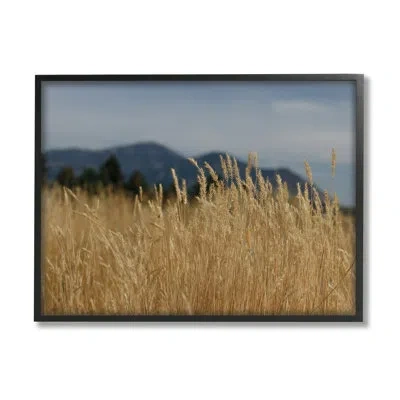 Stupell Industries Wheat Field By Sue Schlabach In Midnight Black Framed Giclee