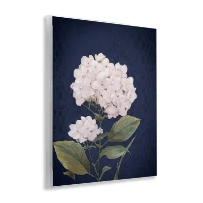 Stupell Industries White Hydrangea Blossom Wall Plaque Art By Patricia Pinto In Blue