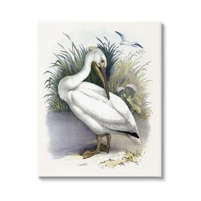 Stupell Industries White Pelican Bird Preening Grassy Riverbank Shore By Piddi - Floater Frame Painting In Wrapped Canvas
