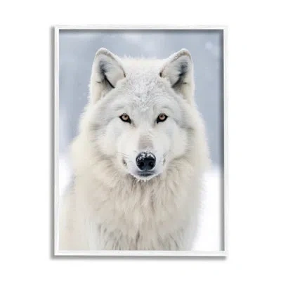 Stupell Industries White Wolf In Snow By Ray Powers No Frame Print On Wood In Black;white