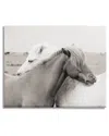 Stupell Industries Wild Country Horses Resting Animal Hug Monochromatic Photograph Stretched Canvas Wall Art In Grey