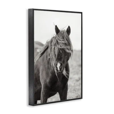 Stupell Industries Wild Pony With Windy Mane Framed Giclee Art, Design By Deborah Revell In Midnight Black Framed Giclee