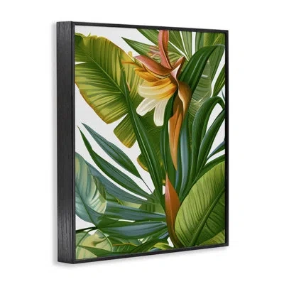 Stupell Industries Wild Rainforest Flower Framed Giclee Art, Design By Marcus Prime In Midnight Black Framed Giclee