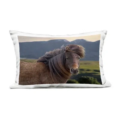 Stupell Industries Windblown Mare In Mountain Valley Design By Steve Toole Outdoor Printed Pillow In Brown