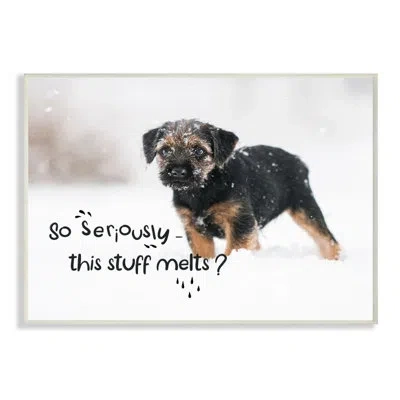 Stupell Industries Winter Time Snow By Ziwei Li - Photograph Print In Wood