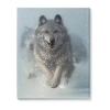 Stupell Industries Wolves Running Through Snow Canvas Art In Blue