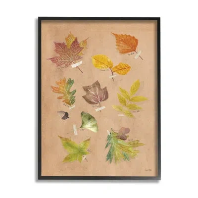 Stupell Industries Woodland Leaf Studies Canvas Wall Art Design By House Fenway In Midnight Black Framed Giclee
