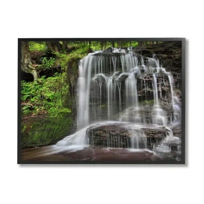 Stupell Industries Woodland Waterfall Nature Creek Framed On Wood By Patrick Zephyr Photograph In Midnight Black Framed Giclee