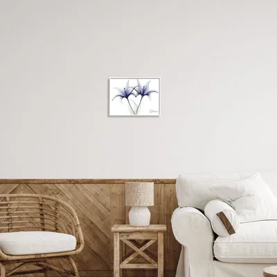 Stupell Industries X-ray Lily Flowers On Canvas Photograph In Coastal White Framed Giclee