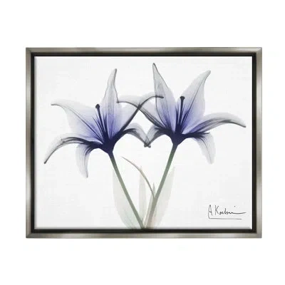 Stupell Industries X-ray Lily Flowers On Canvas Photograph In Luster Gray Floater Frame
