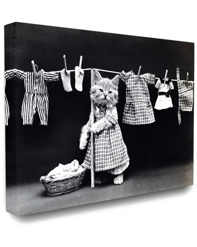 STUPELL STUPELL KITTEN DOES THE LAUNDRY