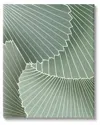 Stupell Modern Abstract Patterned Leaves Canvas Wall Art By Ziwei Li