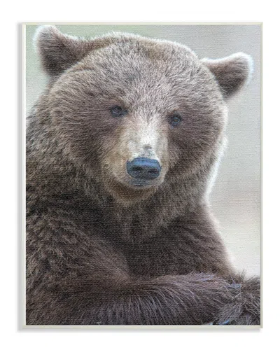 Stupell Most Interesting Bear By Stock