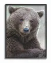 Stupell Most Interesting Bear By Stock Framed Art