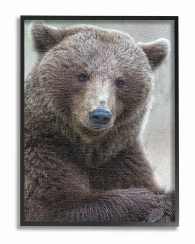 Stupell Most Interesting Bear By Stock Framed Art