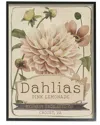 Stupell Pink Lemonade Dahlias Vintage Floral Seed Packet By Studio W Wall Art