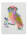 Stupell Rainbow Splash Owl In Glasses By Fab Funky Art On Wood