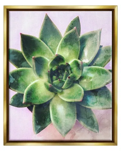 STUPELL ROUND SUCCULENT PLANT LEAVES FRAMED FLOATER CANVAS WALL ART BY DAPHNE POLSELLI